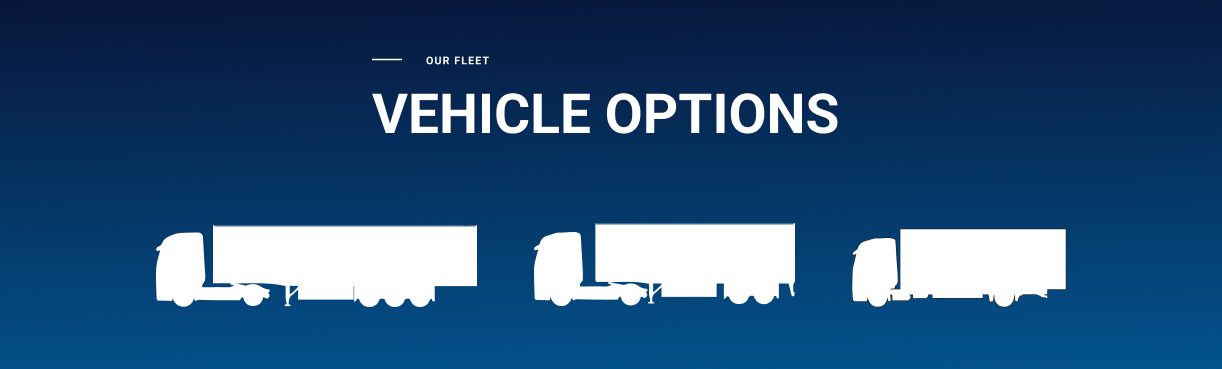 Vehicle options