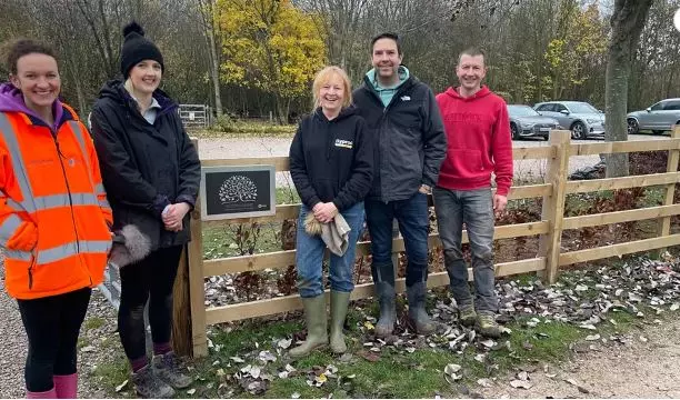 Rushcliffe Country Park Transformation is in full swing with a little help from Artex